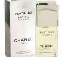 Din parfumul "Chanel" pentru bărbați. Descrierea celor mai bune parfumuri pentru sexul…