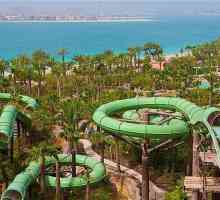 Hoteluri din Emiratele Arabe Unite pentru familii cu copii: sfaturi pentru turiști