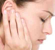 Otita urechilor. Tratamentul medicamentelor populare pentru otita medie