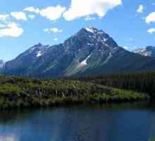 Lacul Athabasca: descriere, floră și faună, probleme ecologice