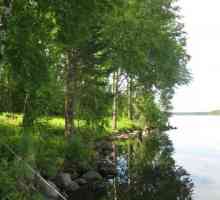 Lacul Gusinoye, cartierul Priozersky - un loc minunat pentru relaxare