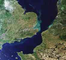 Pas de Calais (strâmtoarea) este cea mai îngustă parte a Canalului Mânecii. Unde este strâmtoarea…