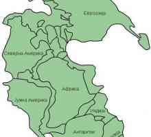 Pangea (continentală): formarea și divizarea supercontinentului