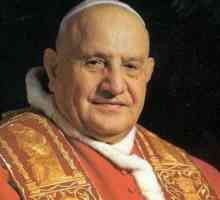 Papa Ioan al XXIII-lea: rezultatele activităților