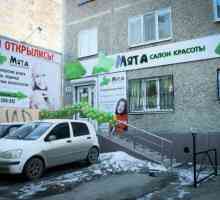 Saloane de coafură din Ekaterinburg: comentarii, adrese