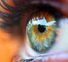 Giulgiul în ochi: cauze și tratament. Cauze ale vederii încețoșate