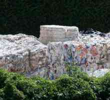 Reciclarea deșeurilor de hârtie: tehnologii, echipamente