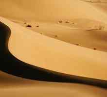Nisip barkhan. Ce este un barkhan și care este rolul său în viața deșertului?