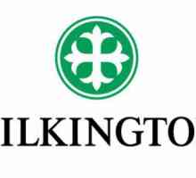`Pilkington` - sticlă pentru autoturisme de la producătorul fiabil