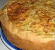 Tort de ceapa cu prăjituri de brânză topită: fotografii și rețete
