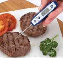Termometru alimentar: principalele avantaje și varietate de sortimente