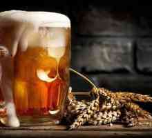 Berea `Buchet de Chuvashia`: ceea ce o deosebește de ceilalți producători de bere