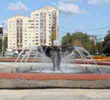Zona de tineret din Zelenograd: istorie și fapte