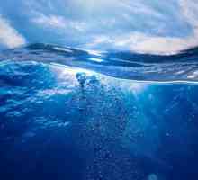 De ce marea este albastră: opiniile și faptele