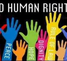 De ce este sărbătorită Ziua Internațională a Drepturilor Omului