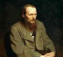 De ce a comis Raskolnikov o crima? Cauzele crimei Raskolnikov