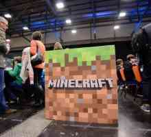 Detalii despre cum să faci o carieră în "Minecraft"