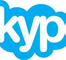 Detalii despre ștergerea conturilor Skype