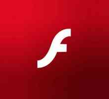 Detalii despre cum să activați "Flash Player" în Yandex. Brauzere`