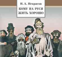 Poem NA Nekrasov "Cine în Rusia trăiește bine": imagini, caracteristici, o scurtă…