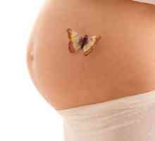Tulburări la nivelul uterului în timpul sarcinii: cauze