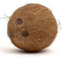 Sfaturi utile: cum să tăiați o nucă de cocos