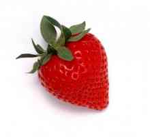 Proprietăți utile de căpșuni: un depozit de vitamine într-o boabe mici