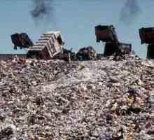 Depozite de deșeuri: licență și construcție