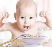 Hrana completă: o rețetă pentru un copil de până la un an. Ce poți să-ți dai un copil pe an? Meniu…