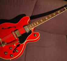 Gibson ES-335 Chitară acustică: Istorie, caracteristici și fapte interesante