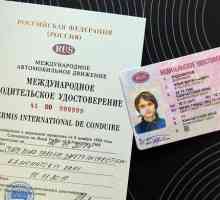 Obțineți drepturi internaționale în Moscova. Certificat internațional de conducere
