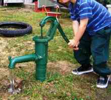 Pompă piston pentru apă: dispozitiv și utilizare
