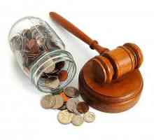 Consecințele falimentului unei persoane: etape de procedură, documente