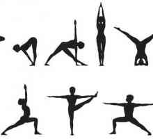 Postura de yoga: titluri, descriere, exerciții pentru începători