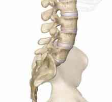 Lombar vertebre: tratament și reabilitare. Vertebrele departamentului lombar: descriere, structură.…