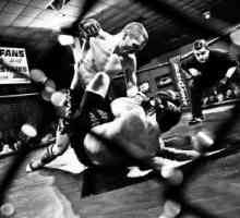 Reguli MMA: lupte fără reguli, sau arte marțiale combinate combinate