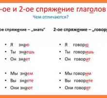 Ortografia finală a verbelor și sufixelor participanților: reguli, exemple. Verbe ale primei…