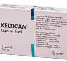 Medicamentul "Keltikan": instrucțiuni de utilizare, indicații