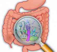 Preparate pentru normalizarea microflorei intestinale: o listă și o descriere a medicamentelor