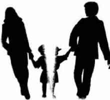 Când divorțezi, cu cine e copilul? Cu cine stau copiii atunci când divorțează părinții lor?