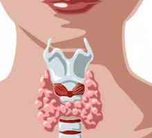 Cauze, simptome, diagnostic și tratament al tiroiditei postpartum