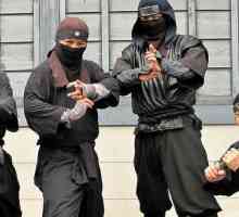 Tehnici Ninja. Arte marțiale din Japonia