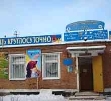 Adăpost pentru animale din Vladimir - un loc în care puteți găsi prieteni