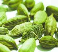 Condimente în Ayurveda. Cardamom: proprietăți utile și contraindicații