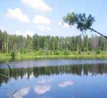 Natura Belarusului este un patrimoniu unic al ecosistemului relicvelor