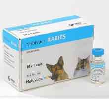 Vaccinarea "Nobivak Rabies". instrucție