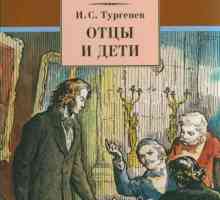 Problema taților și a copiilor în imaginea lui Turgenev. Eseu-argument