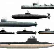 Proiectul 941 `Shark` - cel mai mare submarin din istorie
