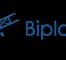 Proiectul "Biplane Life": comentarii despre activitatea pe Internet