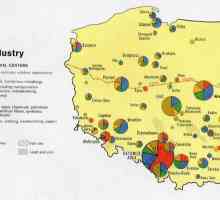 Industria poloneză: o scurtă descriere a industriilor-cheie